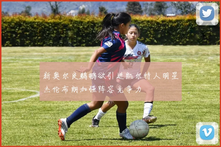 新奥尔良鹈鹕欲引进凯尔特人明星杰伦布朗加强阵容竞争力